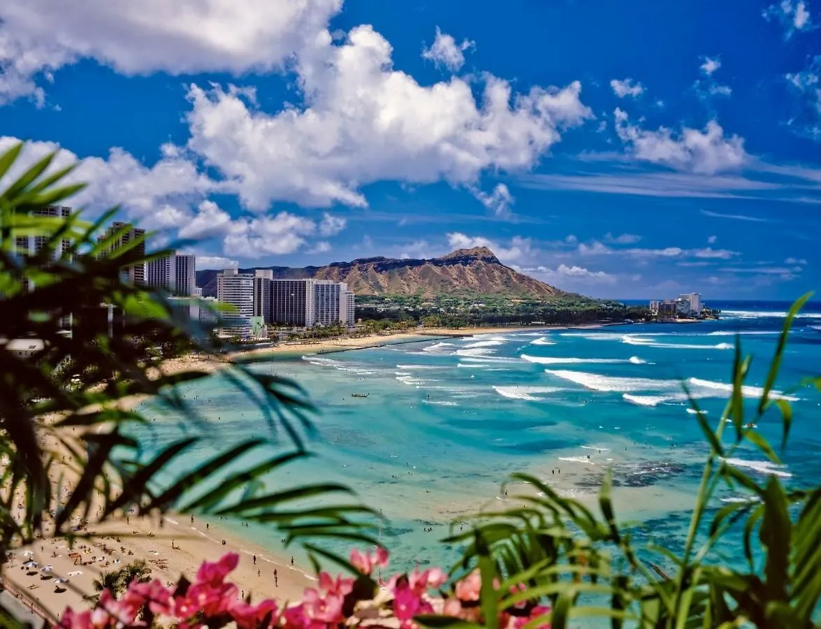 Beautiful Studio In The Heart Of Vibrant Waikiki Honolulu Apartment